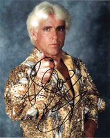 Ric Flair Poster Z1G336969