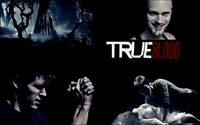 True Blood t-shirt #Z1G337678
