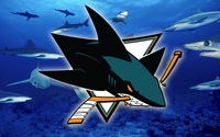 San Jose Sharks hoodie #759459