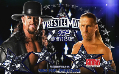 The Undertaker Poster Z1G339482