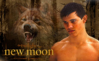 New Moon Poster Z1G339551