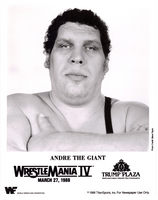 Andre The Giant t-shirt #Z1G341707