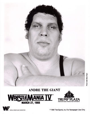 Andre The Giant Tank Top