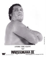 Andre The Giant Tank Top #764008