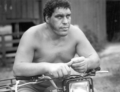 Andre The Giant Poster Z1G341710