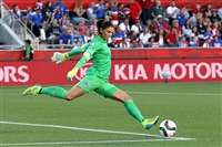 Hope Solo Poster Z1G3449308