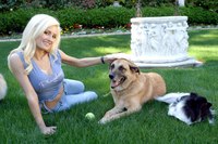 Holly Madison Poster Z1G435059