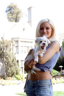 Holly Madison Poster Z1G435060