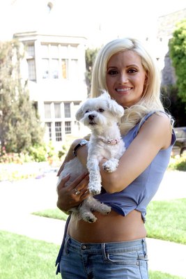 Holly Madison Poster Z1G435069