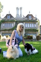 Holly Madison Poster Z1G435070