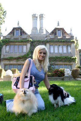 Holly Madison Poster Z1G435070