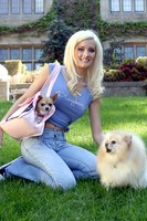 Holly Madison Poster Z1G435073