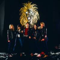 Iron Maiden hoodie #869404