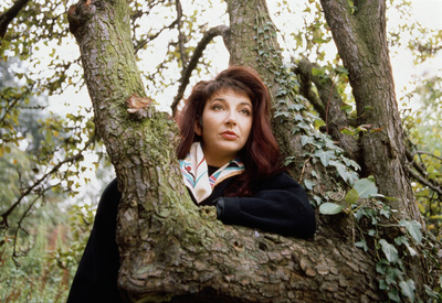 Kate Bush Longsleeve T-shirt