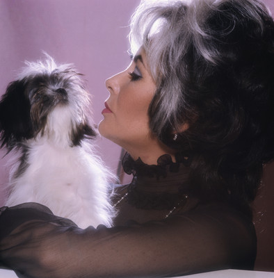 Elizabeth Taylor Poster Z1G458867