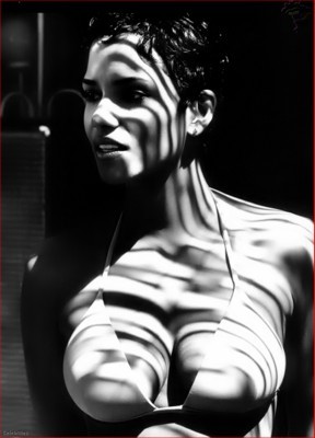 Halle Berry Poster Z1G51058