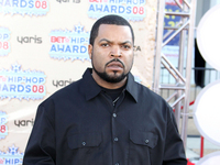 Ice Cube Poster Z1G520514