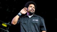 Ice Cube Poster Z1G520515
