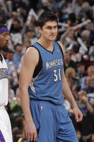 Darko Milicic hoodie #951277