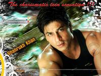 Shahrukh Khan Poster Z1G523224