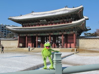 the Frog Kermit hoodie #959449