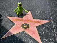 the Frog Kermit hoodie #959476