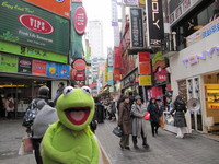 the Frog Kermit hoodie #959497