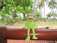 the Frog Kermit Longsleeve T-shirt #959504