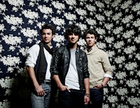 the Jonas Brothers Mouse Pad Z1G531962