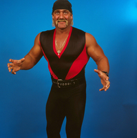 Hulk Hogan Poster Z1G536119