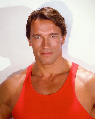 Arnold Schwarzenegger Poster Z1G545984