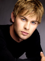 Chace Crawford t-shirt #Z1G547670