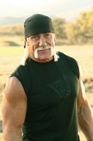 Hulk Hogan Longsleeve T-shirt #982857