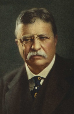 Theodore Roosevelt calendar