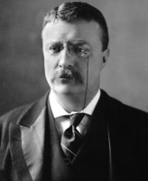 Theodore Roosevelt Poster Z1G563771