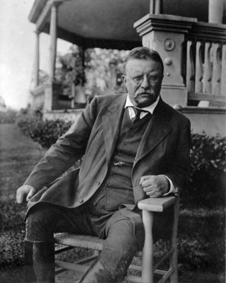 Theodore Roosevelt hoodie