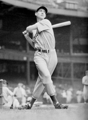 Ted Williams Poster Z1G633675