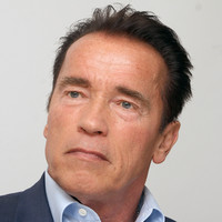 Arnold Schwarzenegger Poster Z1G693743