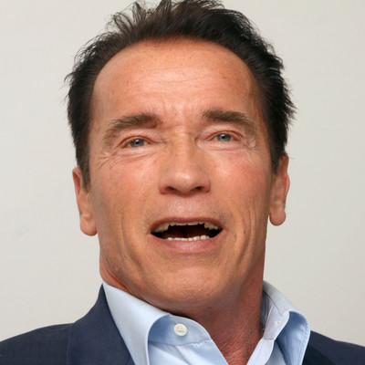 Arnold Schwarzenegger Poster Z1G693744