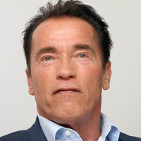 Arnold Schwarzenegger Poster Z1G693747