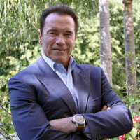 Arnold Schwarzenegger Poster Z1G693751