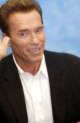 Arnold Schwarzenegger Poster Z1G711788