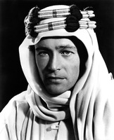 Peter O'toole Poster Z1G725491