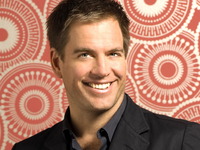 Michael Weatherly Poster Z1G729773