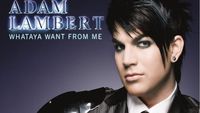 Adam Lambert Poster Z1G732365
