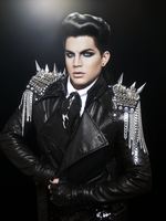 Adam Lambert Poster Z1G732369
