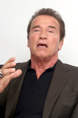 Arnold Schwarzenegger Poster Z1G783908