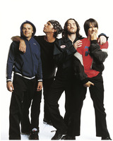 Red Hot Chili Peppers Mouse Pad Z1G788900