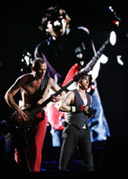 Red Hot Chili Peppers Poster Z1G788911
