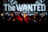 The Wanted Mouse Pad Z1G789398